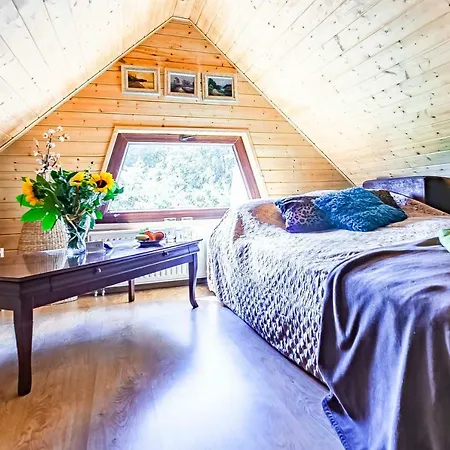 Homestay Lesniczowka Wiezyca I *