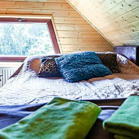Homestay Lesniczowka Wiezyca I *
