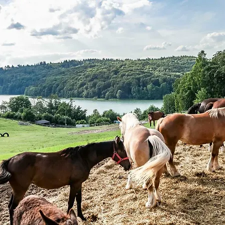 Homestay Lesniczowka Wiezyca I